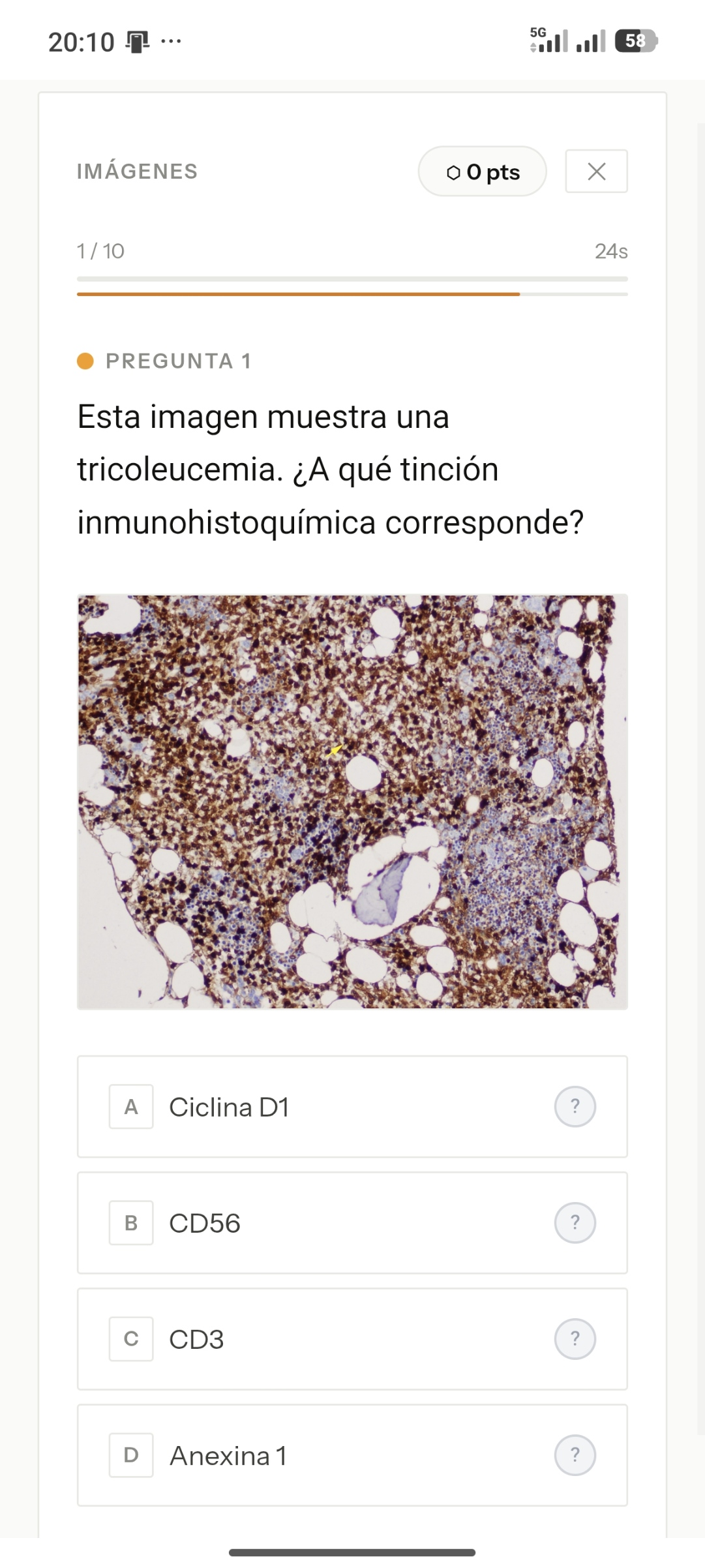 Pregunta con imagen histológica incluida