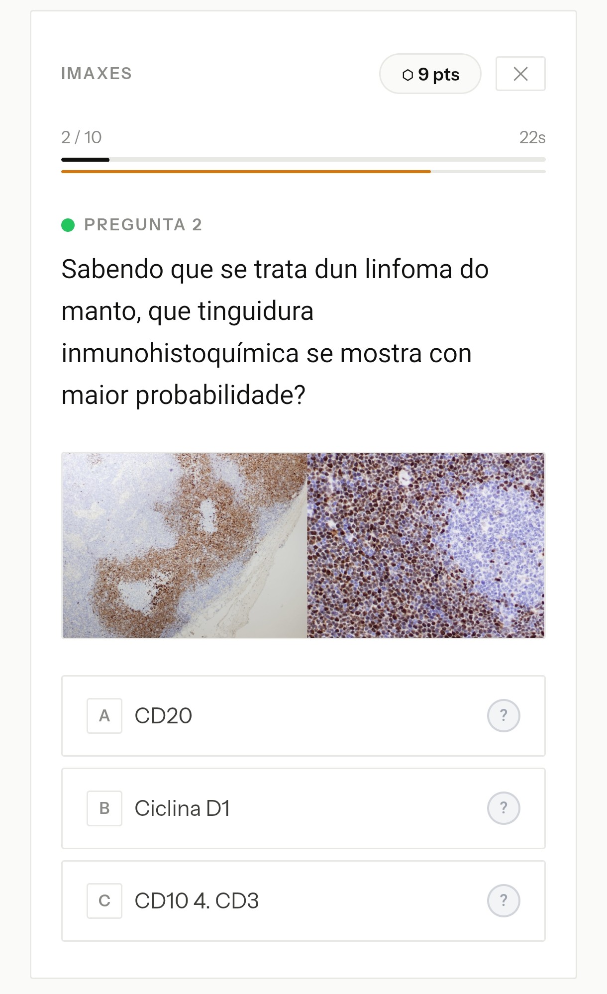 Pregunta con imaxe histolóxica incluída
